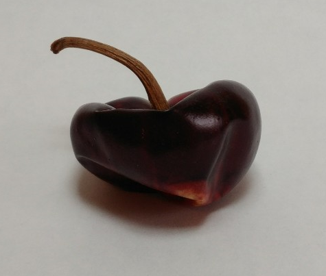 cascabel chili