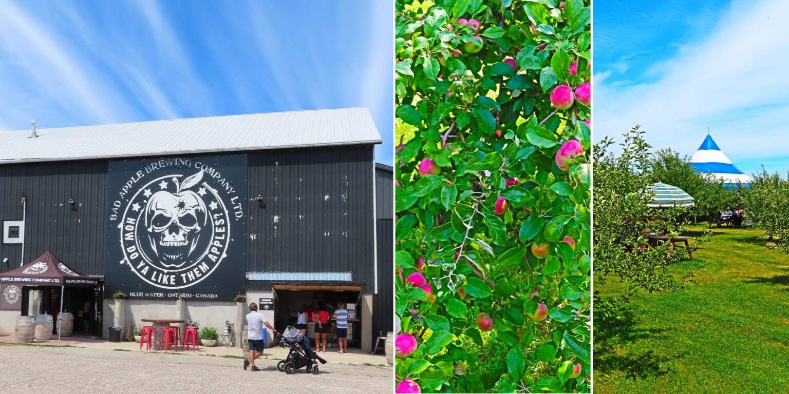 Shopping local in Huron County Bluewater Pepper Farm